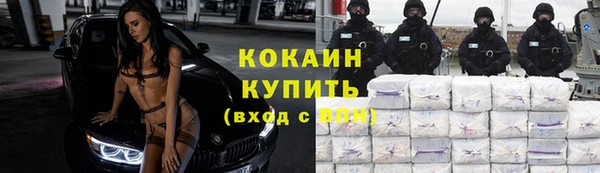 дживик Белокуриха