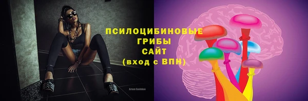 прущие крисы Бородино