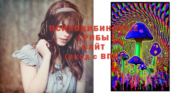 соль курить ск Богородск