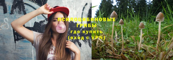 бошки Богородицк